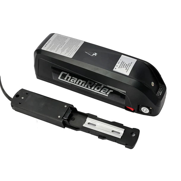 48V 1500W 20Ah (HL2) Battery
